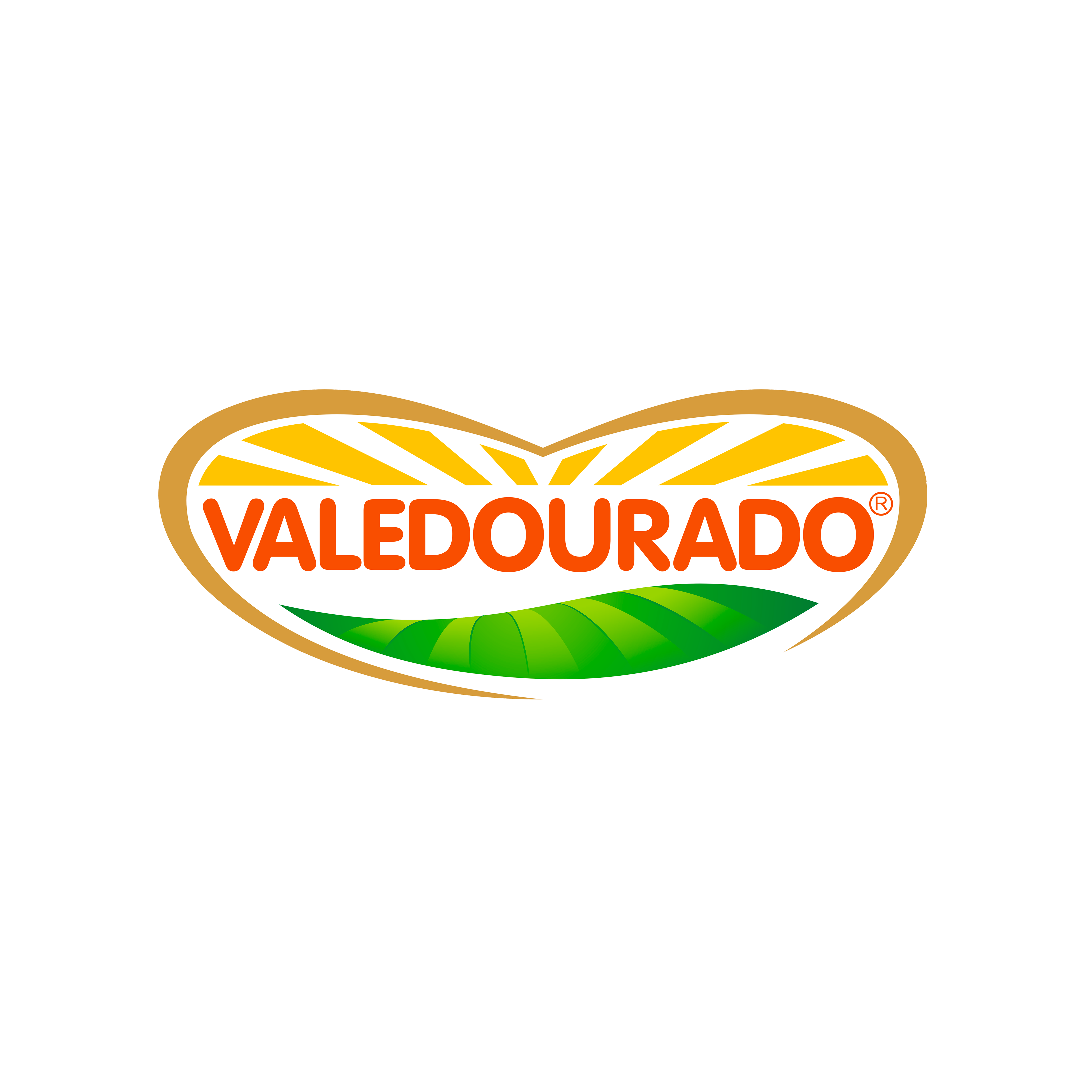 Logo Valedourado
